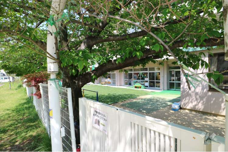 大生幼児園の写真