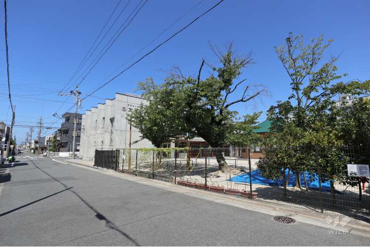 太閤幼稚園の写真