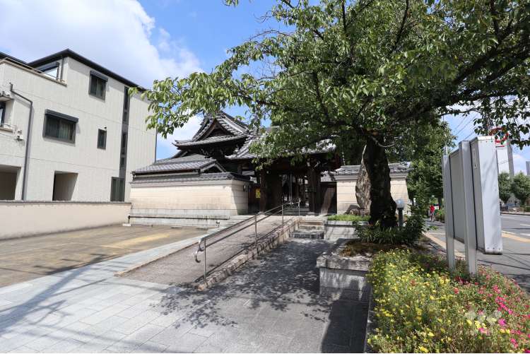 中京幼稚園の写真