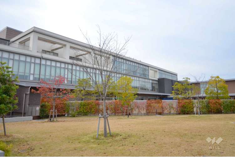 高槻認定こども園の写真