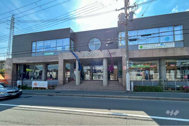 善照そよかぜ保育園	の写真