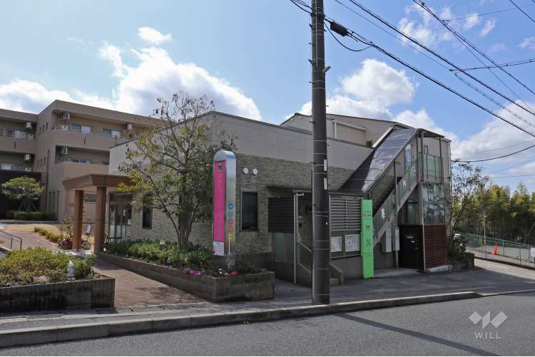 doudou(ドゥードゥー)の写真