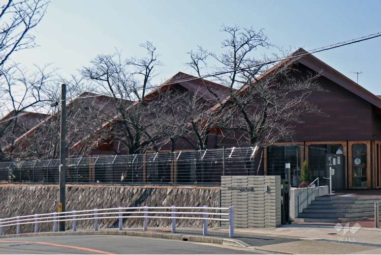 椙山女学園大学附属椙山こども園の写真