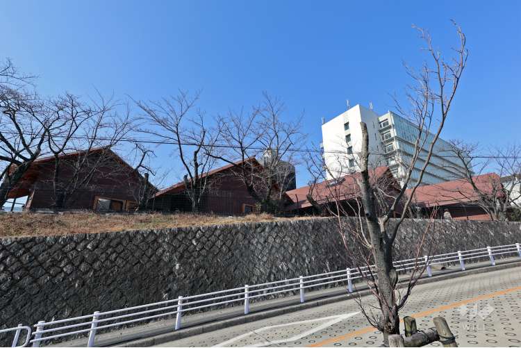 椙山女学園大学附属椙山こども園の写真