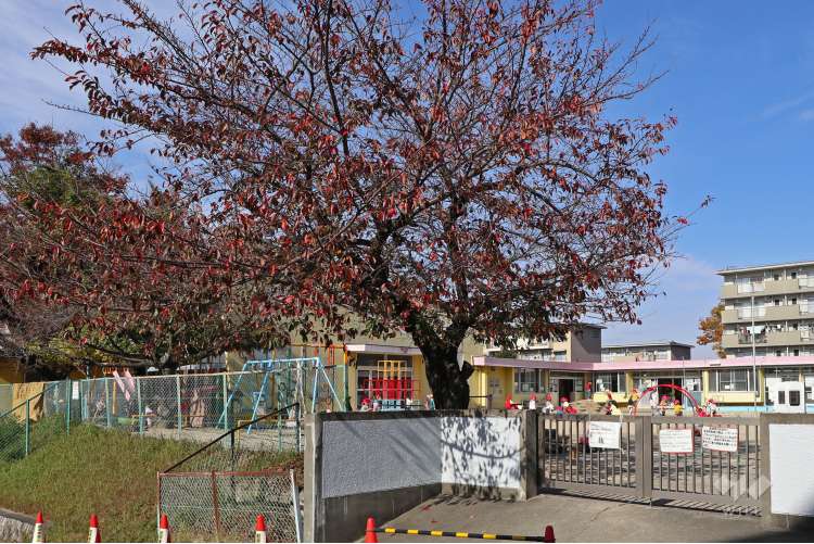 藤山台保育園の写真