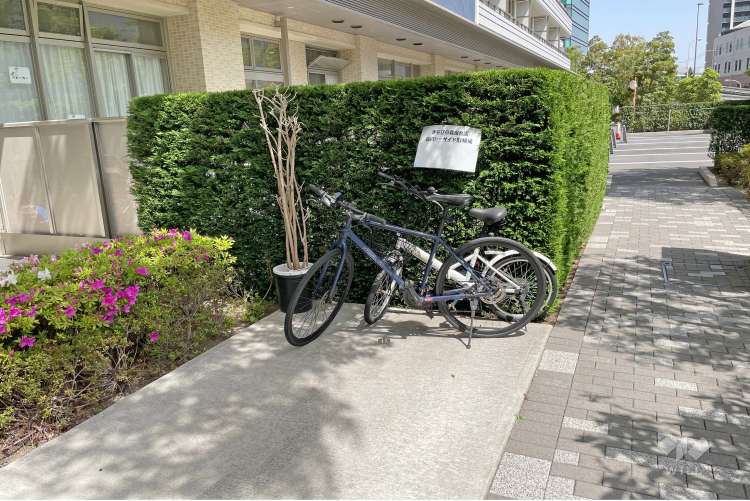 まなびの森保育園品川シーサイドの写真