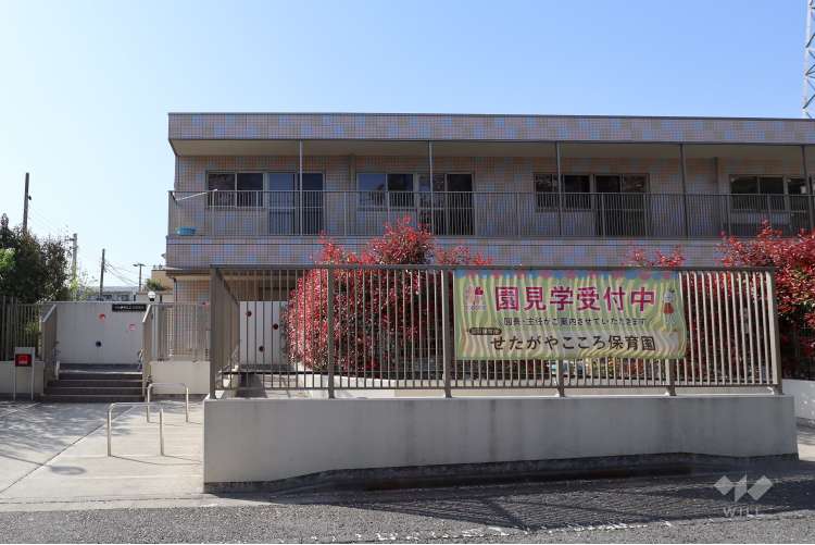 せたがやこころ保育園の写真