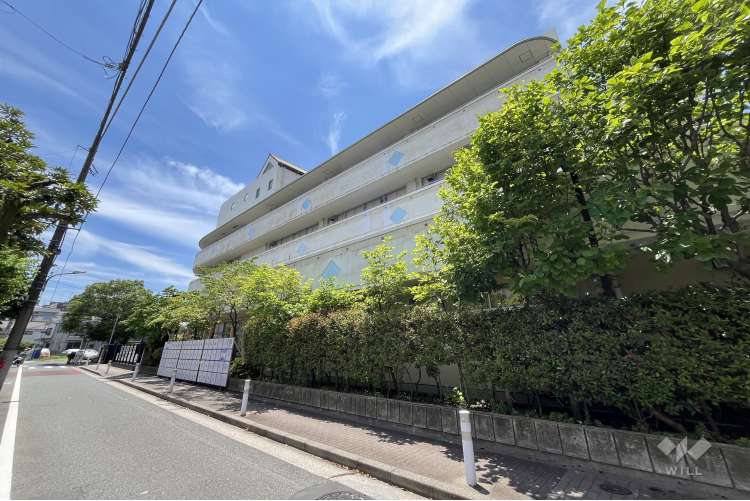 大森第一小学校の写真