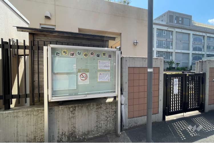 たちばな中央保育園の写真