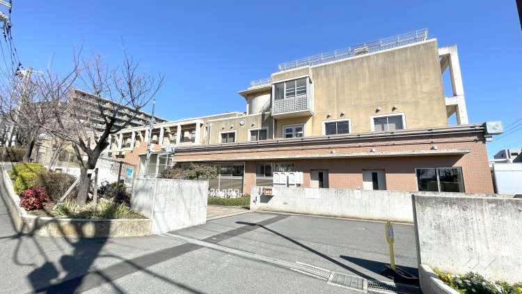 向丘小学校の写真