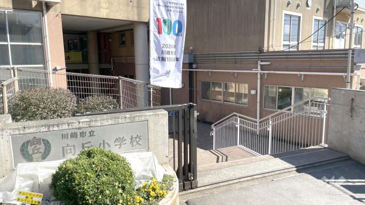 向丘小学校の写真