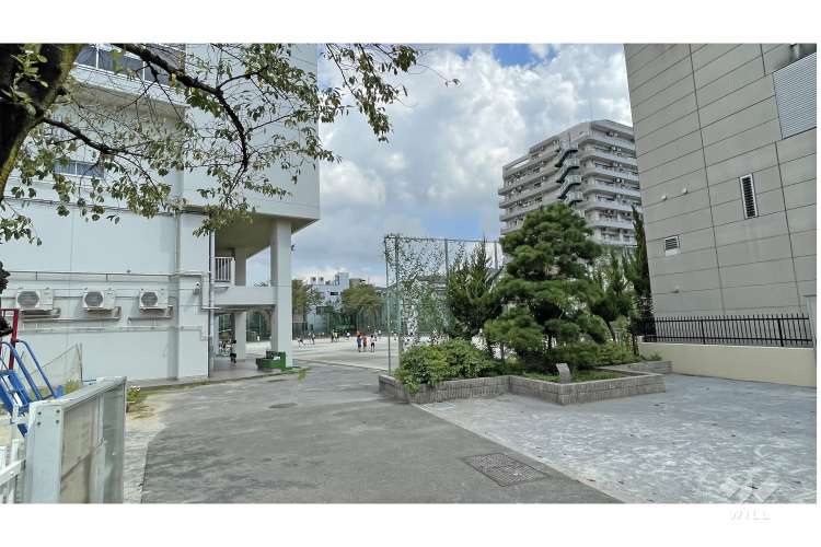 第三日暮里小学校の写真