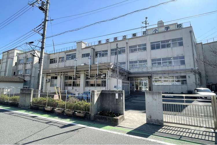 桜花小学校の写真