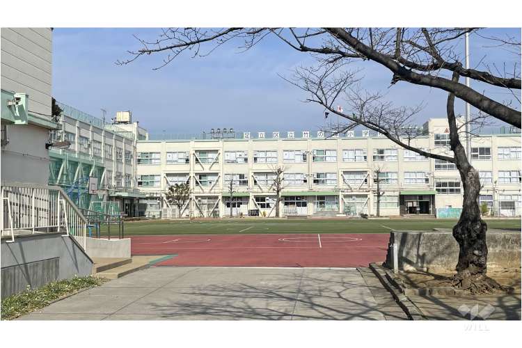 竹の塚小学校の写真