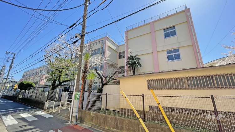 中島根小学校の写真