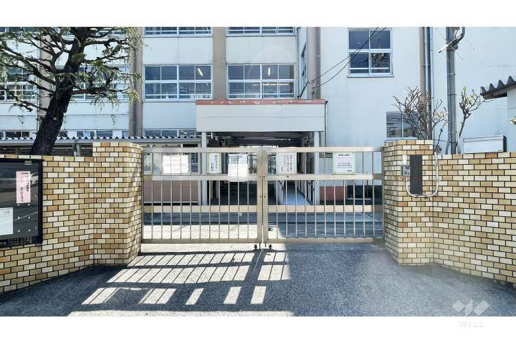東伊興小学校の写真