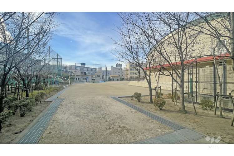 第十中学校の写真