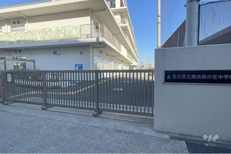 鹿浜菜の花中学校の写真