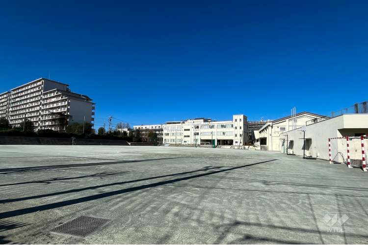 板橋第二中学校の写真