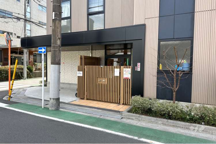 さくらさくみらい蓮根の写真
