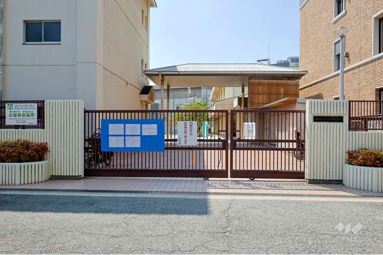 玉川小学校の写真