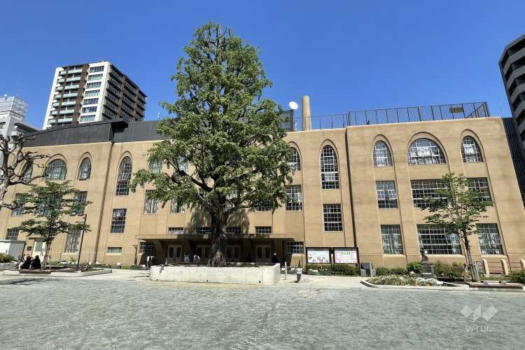 九段小学校の写真