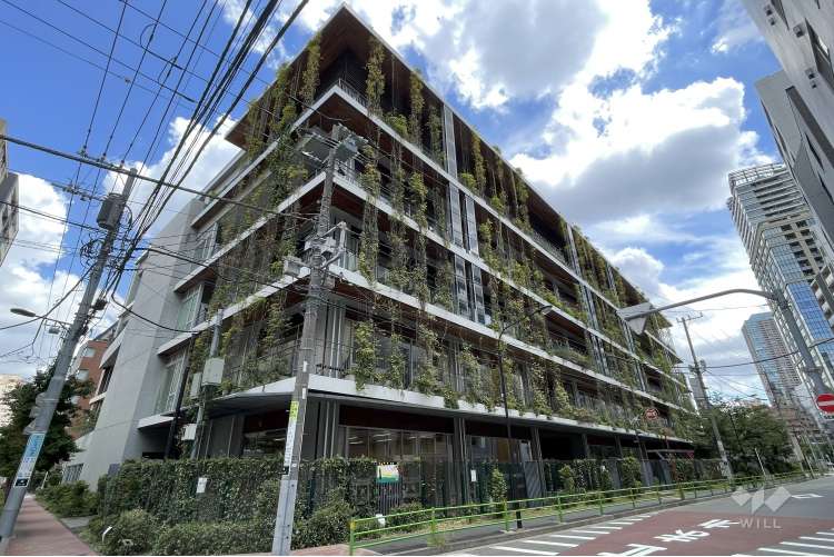 中央小学校の写真