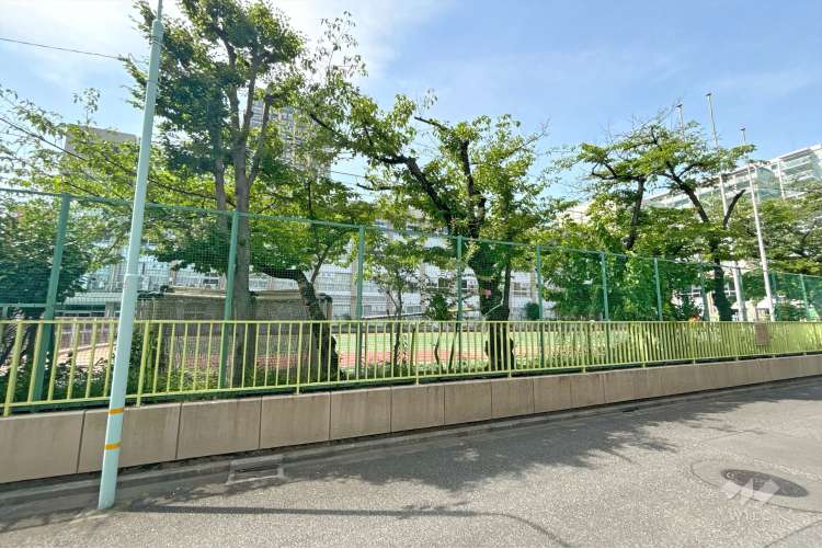 月島第一小学校の写真