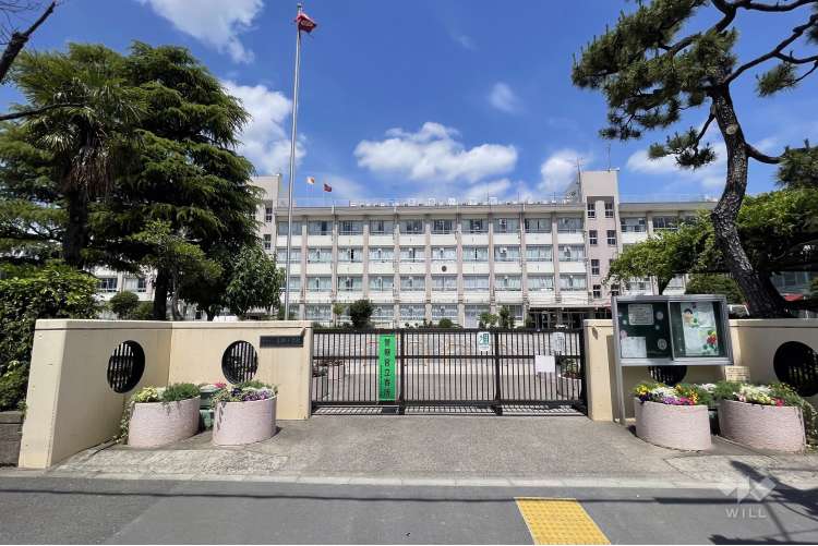 葛飾小学校の写真