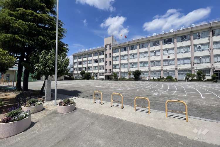 葛飾小学校の写真