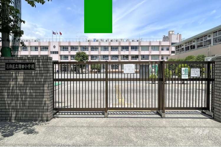 梅田小学校の写真