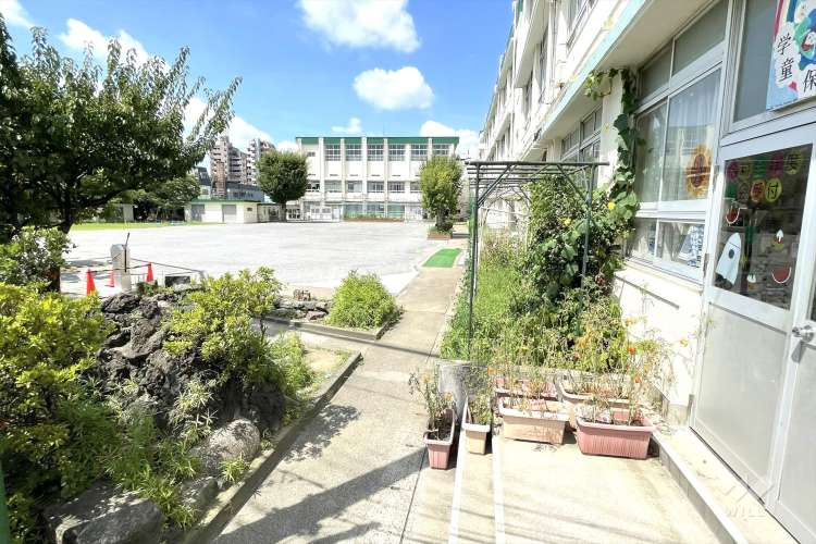 奥戸小学校の写真