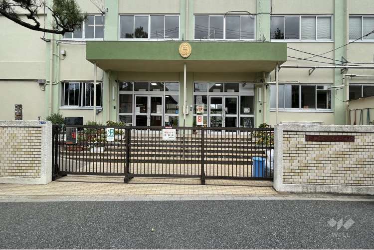 金町小学校の写真