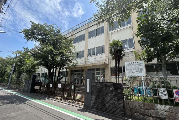 柴又小学校の写真