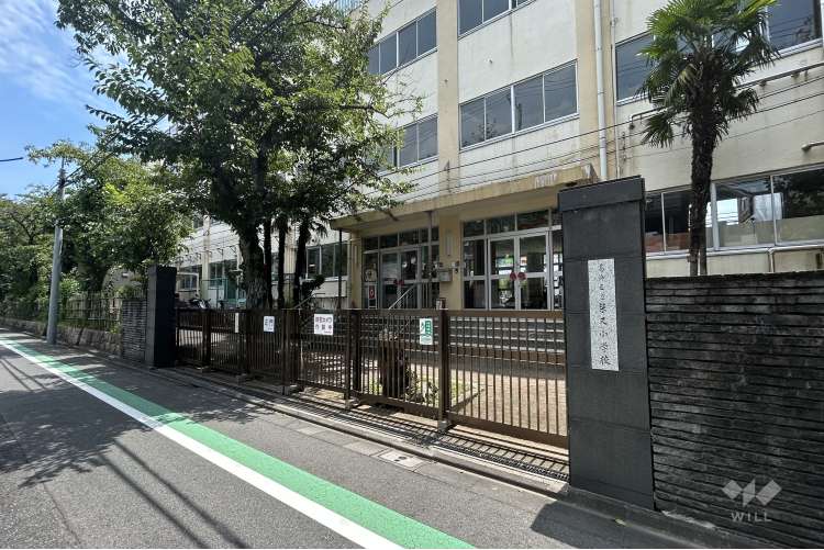 柴又小学校の写真