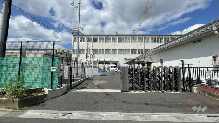 水元小学校の写真