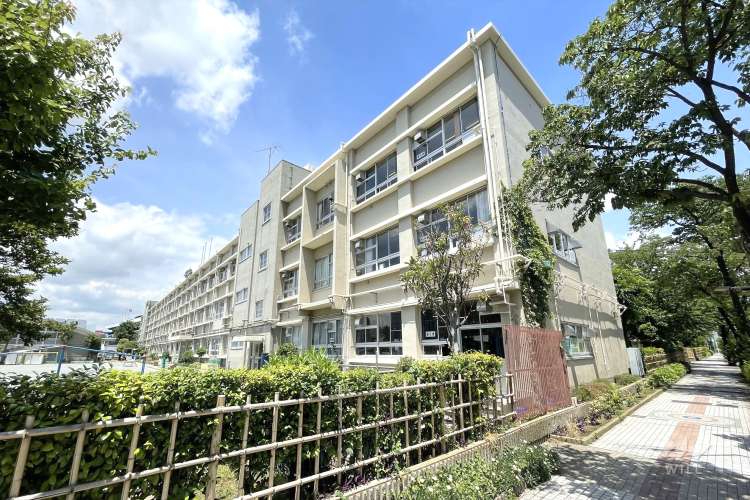 清和小学校の写真