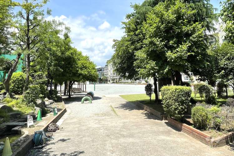 清和小学校の写真