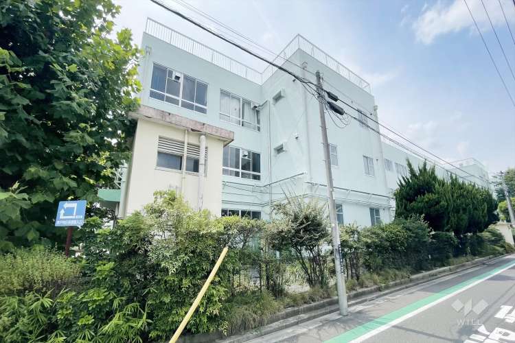 南奥戸小学校の写真