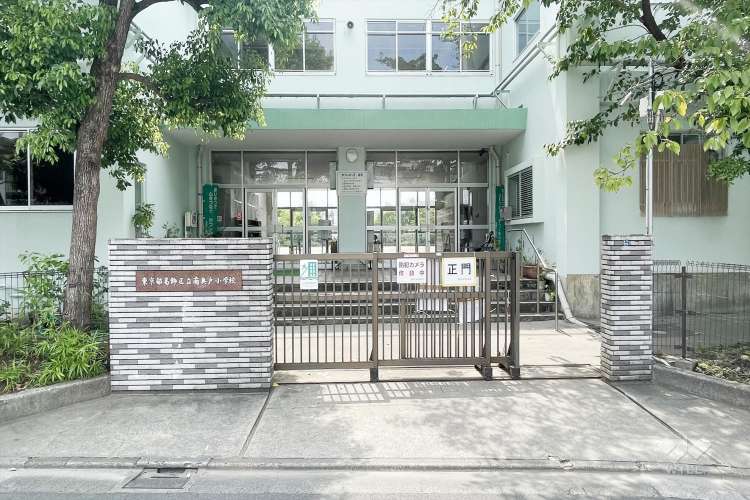 南奥戸小学校の写真