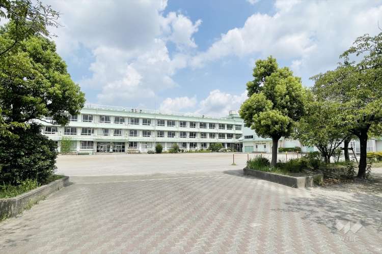南奥戸小学校の写真