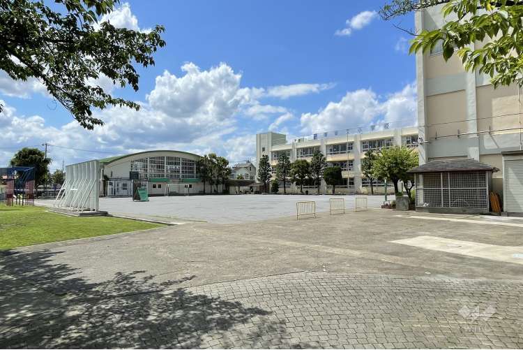 東柴又小学校の写真