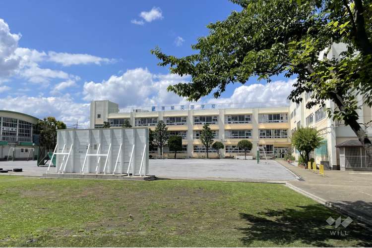 東柴又小学校の写真