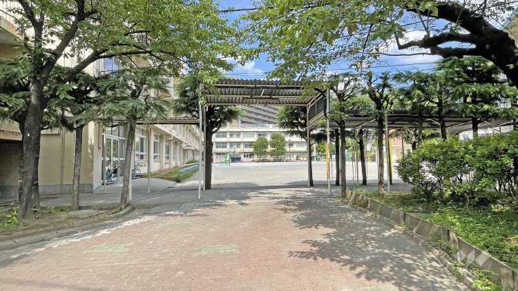 よつぎ小学校の写真