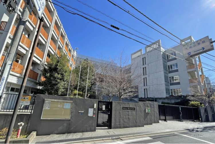 新宿中学校の写真