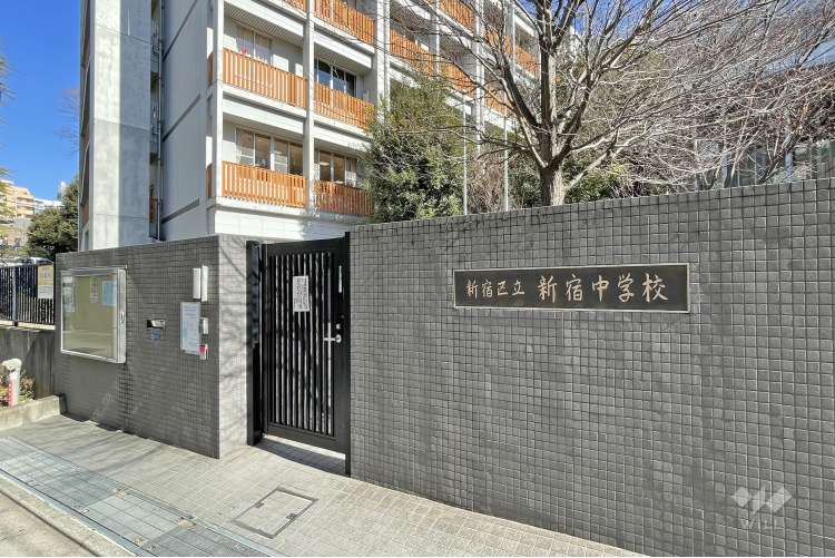 新宿中学校の写真