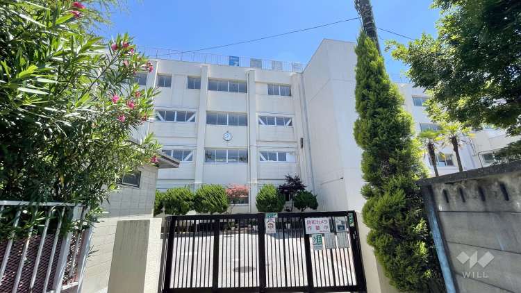 中川中学校の写真