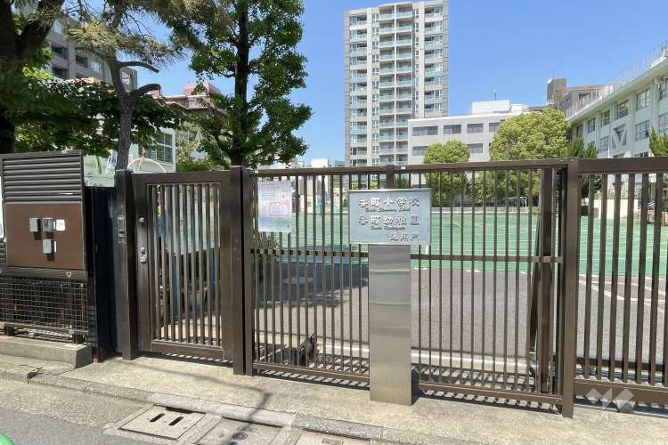 番町幼稚園の写真
