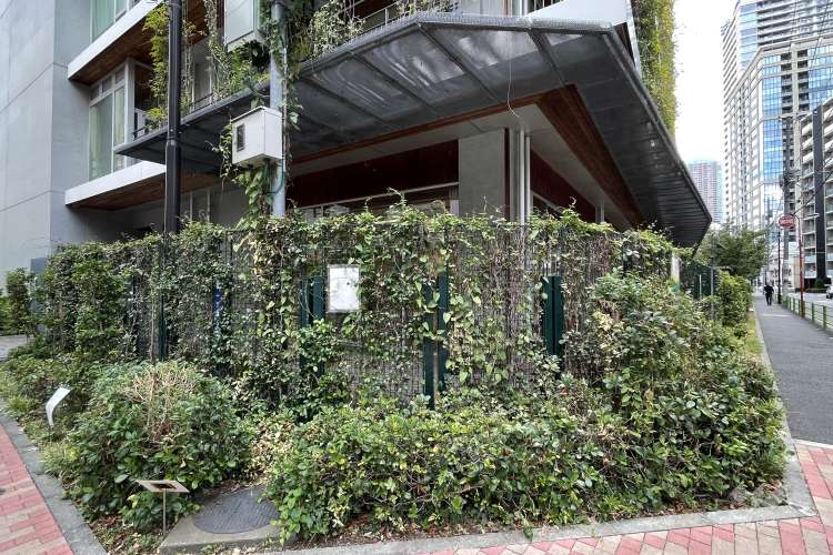 中央幼稚園の写真