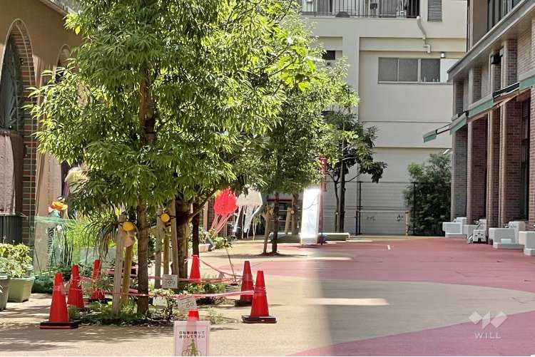 阪本こども園の写真